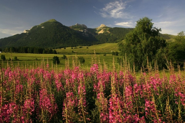 Hotel La Dolce Mela Agriturismo (Vezzano)